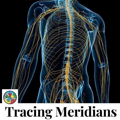 Tracing Meridians